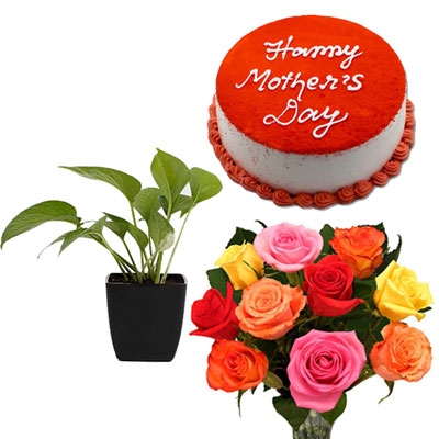 "Cake N Flowers - code MCF03 - Click here to View more details about this Product